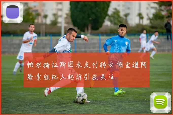 帕尔梅拉斯因未支付转会佣金遭阿隆索经纪人起诉引发关注