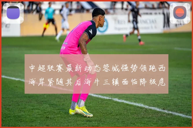 中超联赛最新动态蓉城强势领跑西海岸紧随其后海牛三镇面临降级危机